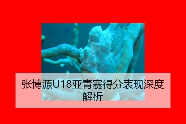 张博源U18亚青赛得分表现深度解析