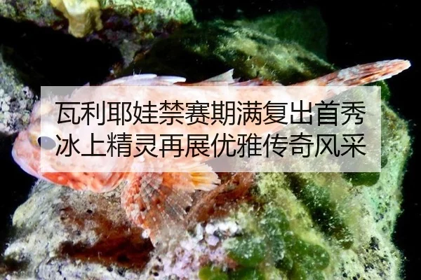 wa-li-ye-wa-jin-sai-qi-man-fu-chu-shou-xiu-bing-shang-jing-ling-zai-zhan-you-ya-chuan-qi-feng-cai-2-522.jpg