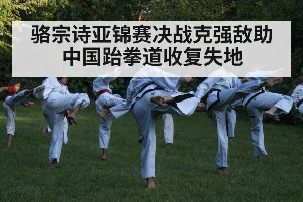 骆宗诗亚锦赛决战克强敌助中国跆拳道收复失地